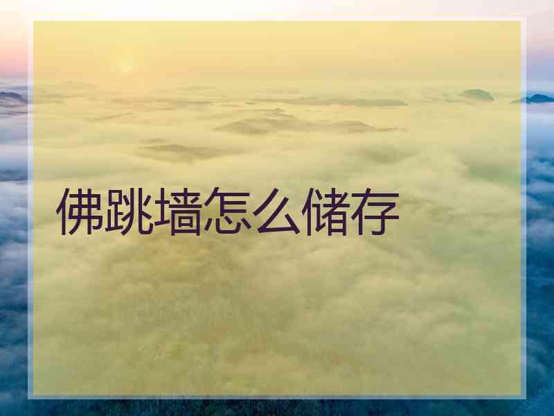 佛跳墙怎么储存