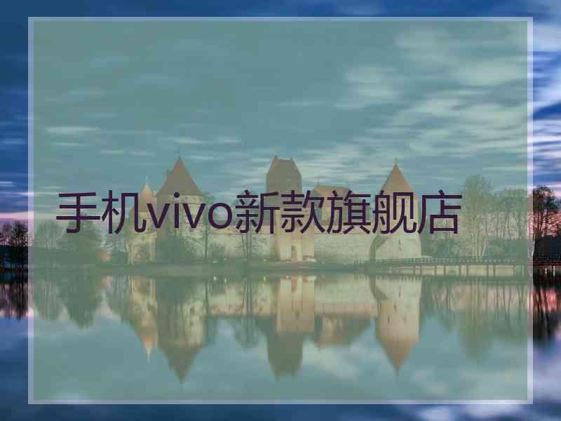 手机vivo新款旗舰店