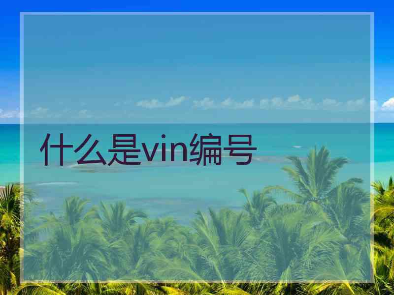 什么是vin编号