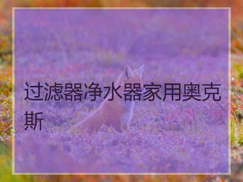 过滤器净水器家用奥克斯