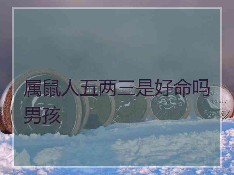 属鼠人五两三是好命吗男孩