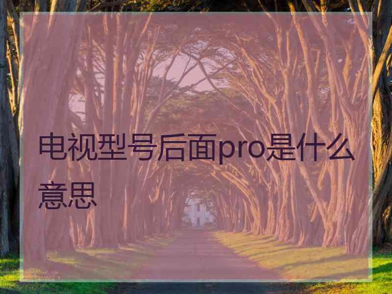 电视型号后面pro是什么意思