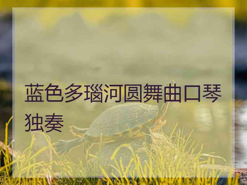 蓝色多瑙河圆舞曲口琴独奏