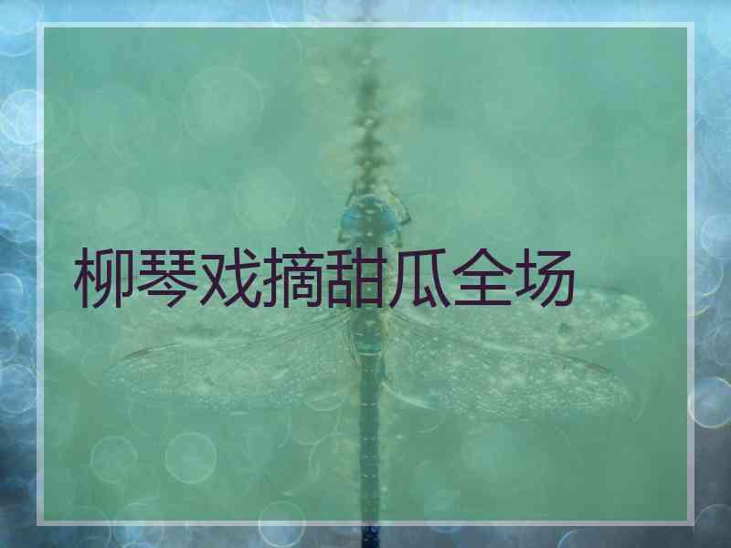柳琴戏摘甜瓜全场