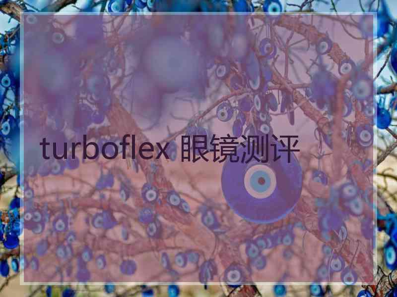 turboflex 眼镜测评