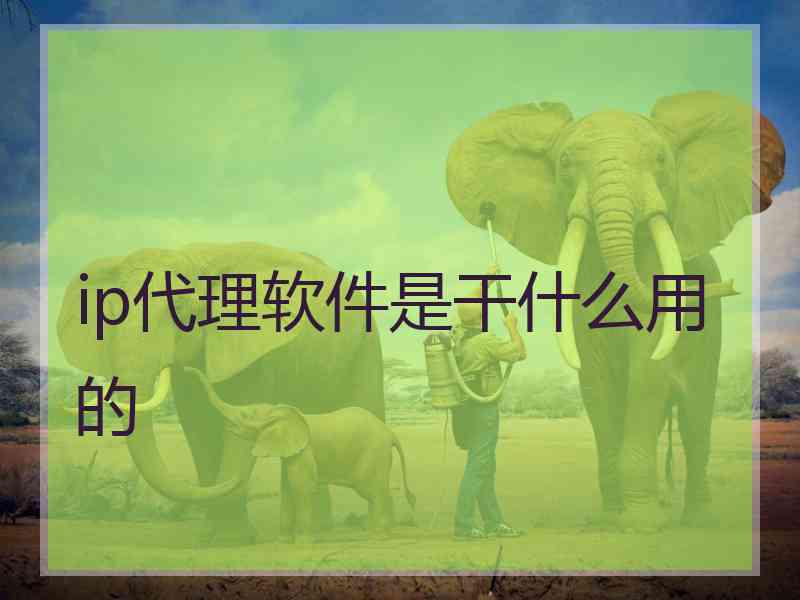 ip代理软件是干什么用的