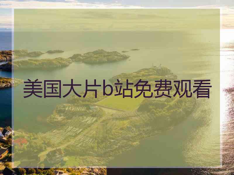 美国大片b站免费观看