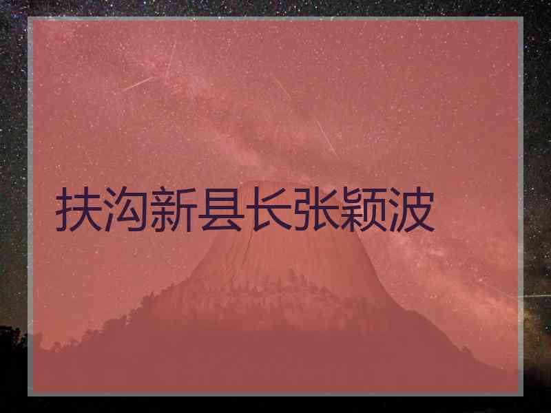 扶沟新县长张颖波