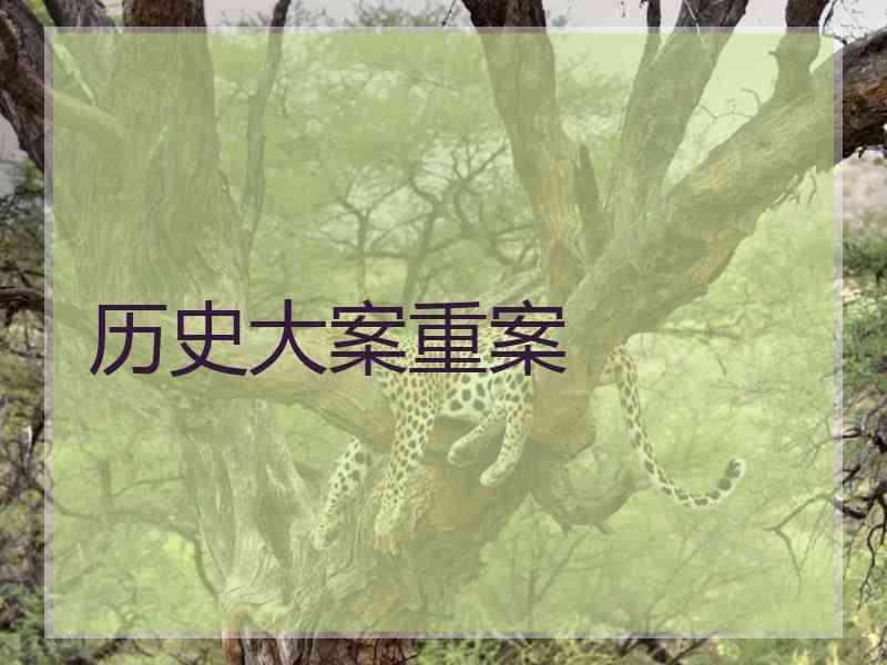 历史大案重案
