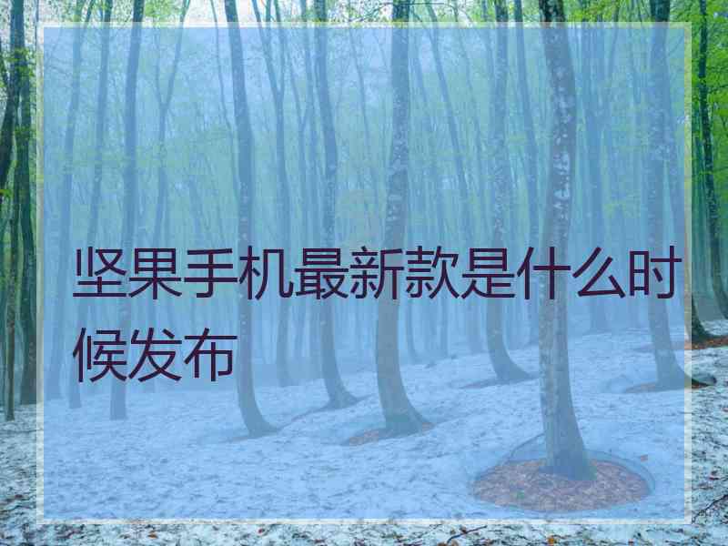 坚果手机最新款是什么时候发布