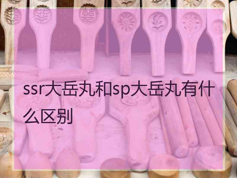 ssr大岳丸和sp大岳丸有什么区别