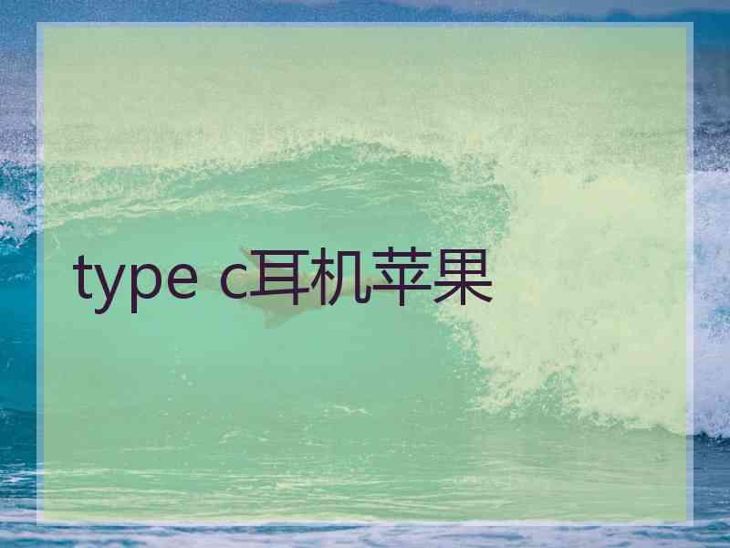type c耳机苹果