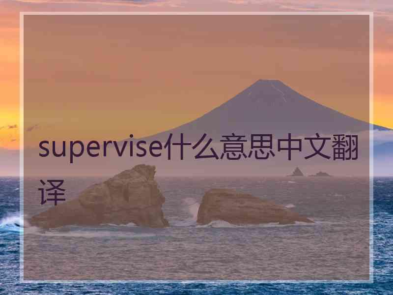 supervise什么意思中文翻译
