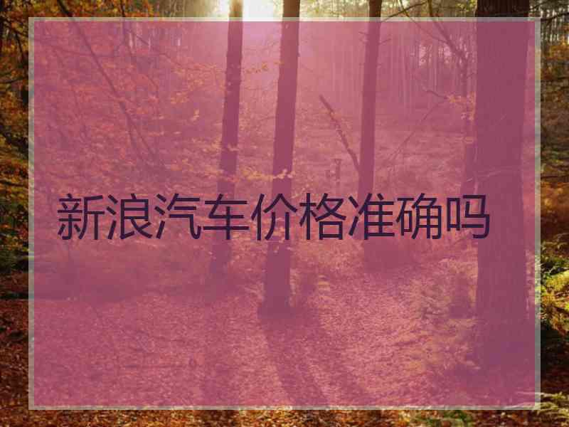 新浪汽车价格准确吗
