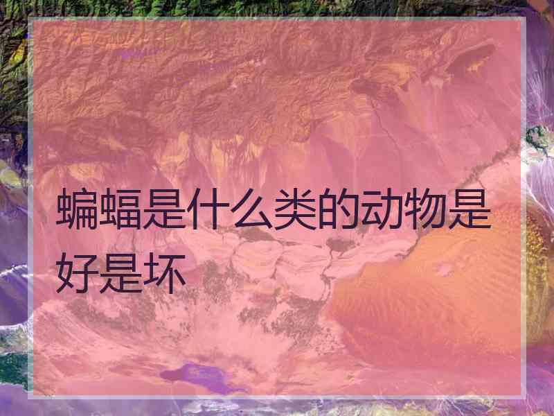 蝙蝠是什么类的动物是好是坏