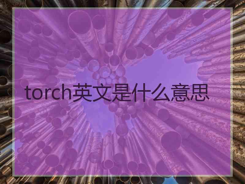 torch英文是什么意思