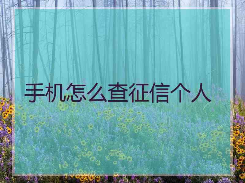 手机怎么查征信个人