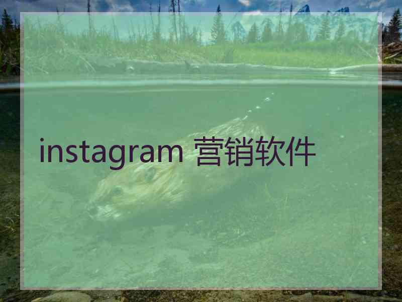 instagram 营销软件