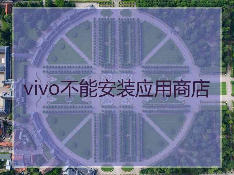 vivo不能安装应用商店