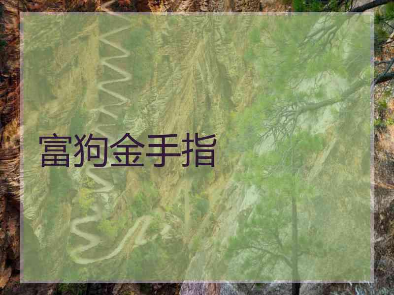 富狗金手指