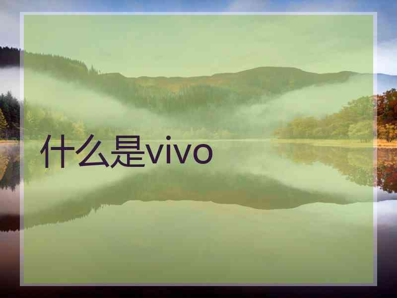 什么是vivo