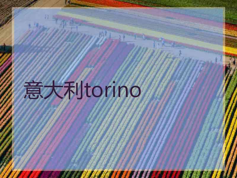 意大利torino