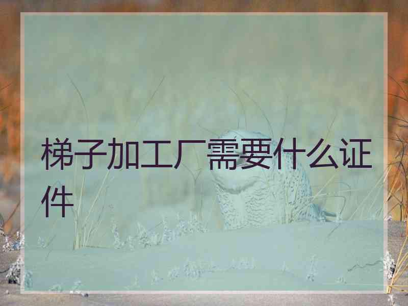 梯子加工厂需要什么证件