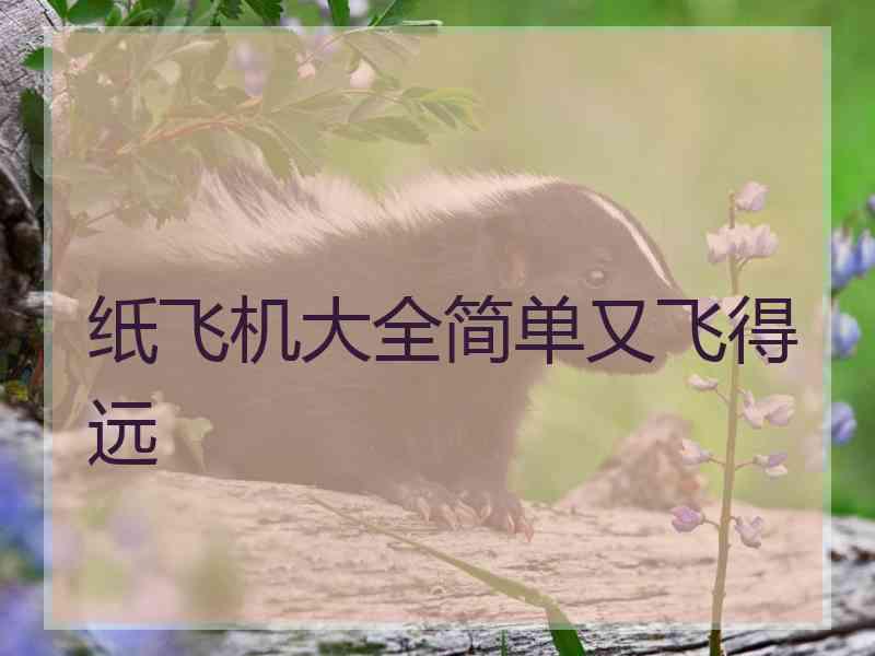 纸飞机大全简单又飞得远