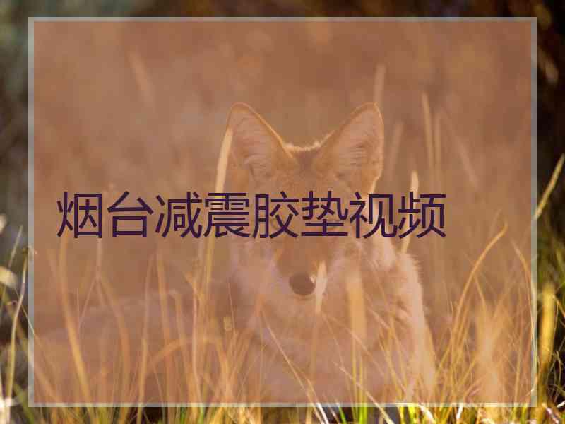 烟台减震胶垫视频