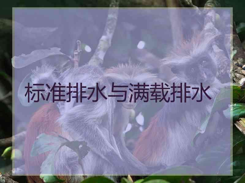 标准排水与满载排水