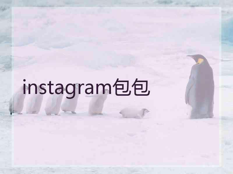 instagram包包