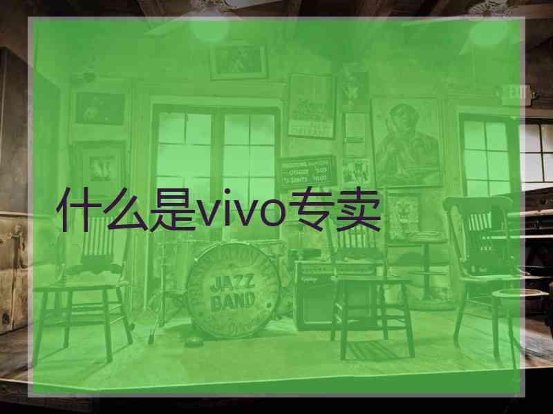 什么是vivo专卖