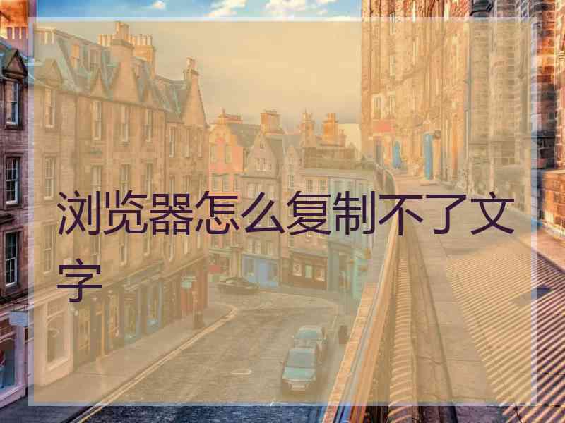 浏览器怎么复制不了文字