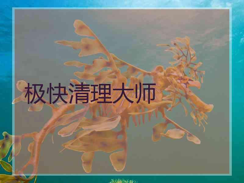 极快清理大师