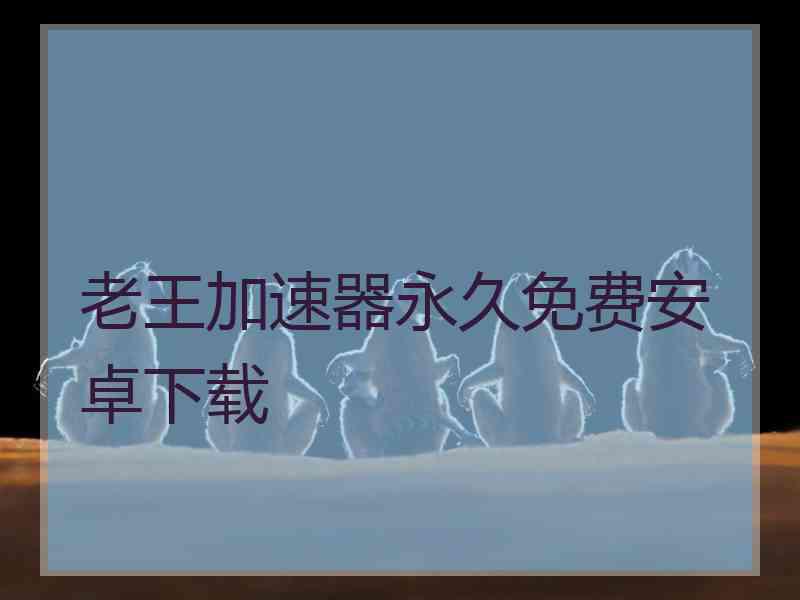 老王加速器永久免费安卓下载