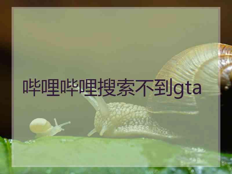 哔哩哔哩搜索不到gta