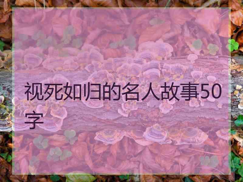 视死如归的名人故事50字