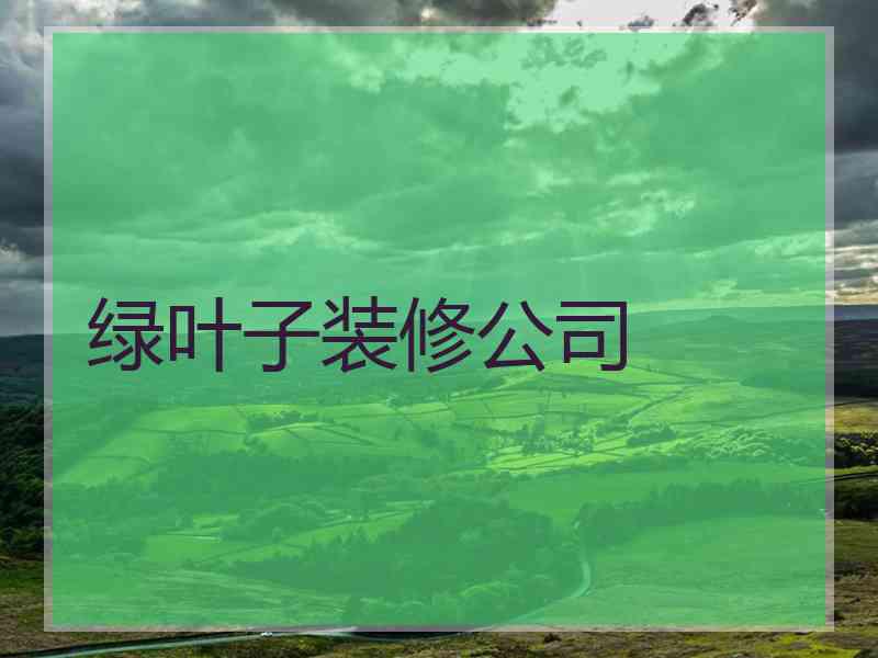 绿叶子装修公司