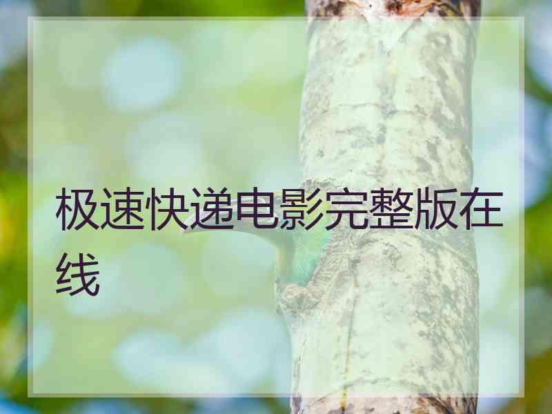 极速快递电影完整版在线