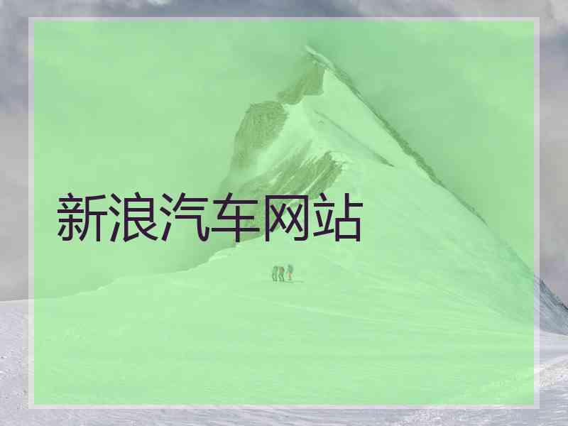 新浪汽车网站