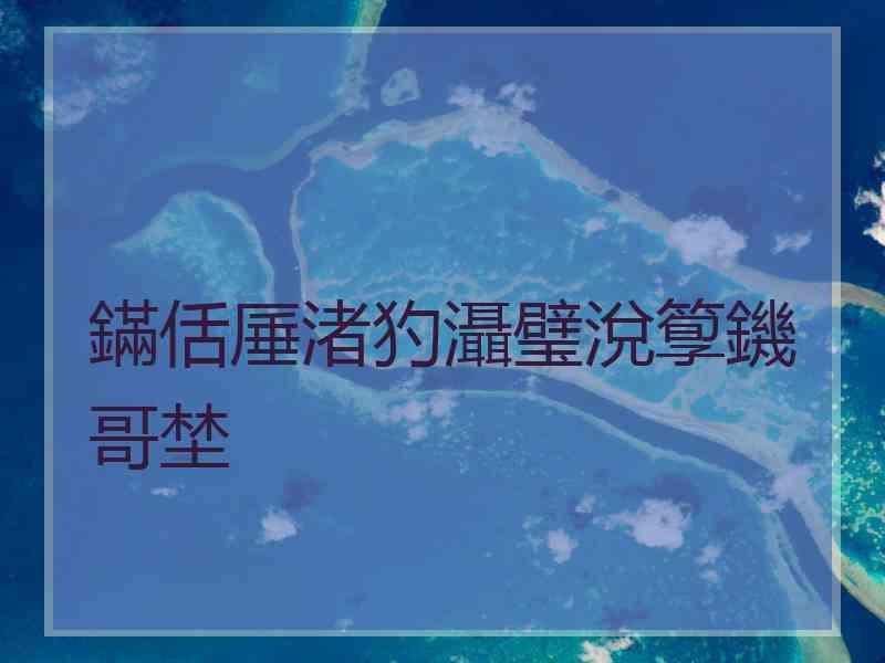 鏋佸厜渚犳灄璧涗箰鐖哥埜