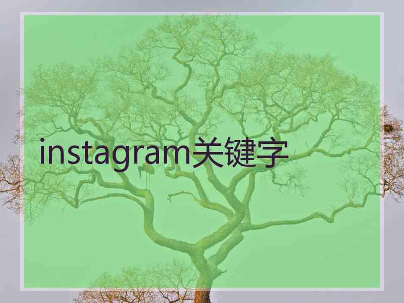 instagram关键字