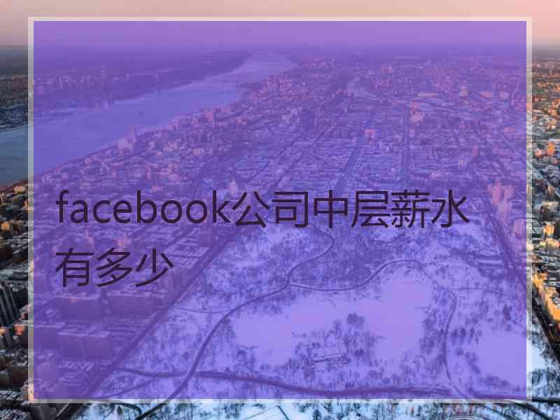 facebook公司中层薪水有多少