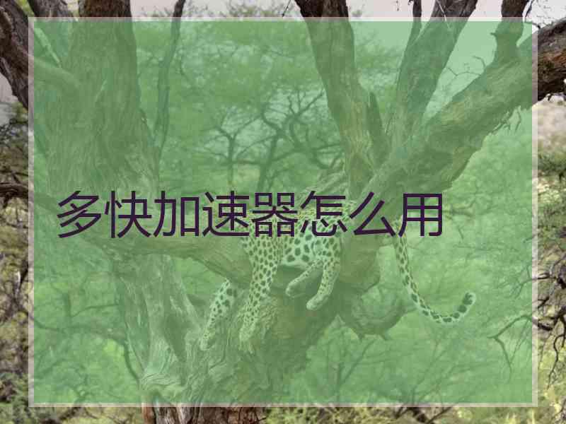 多快加速器怎么用