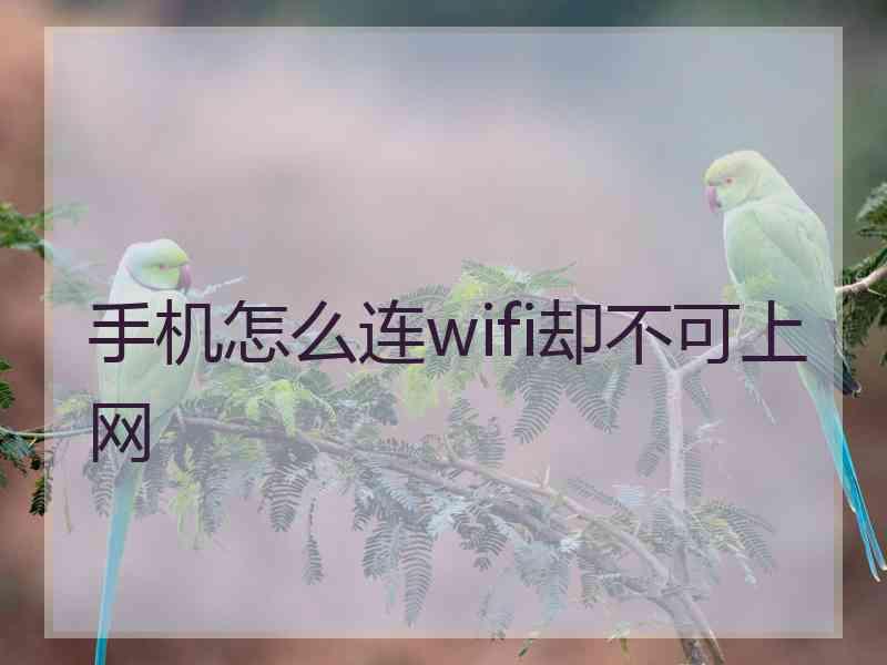 手机怎么连wifi却不可上网