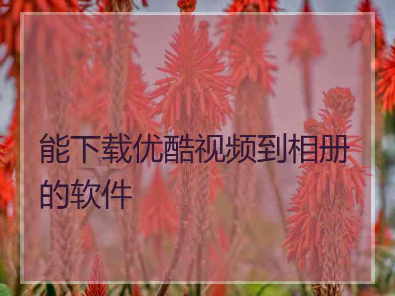 能下载优酷视频到相册的软件