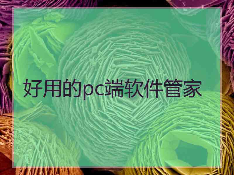 好用的pc端软件管家