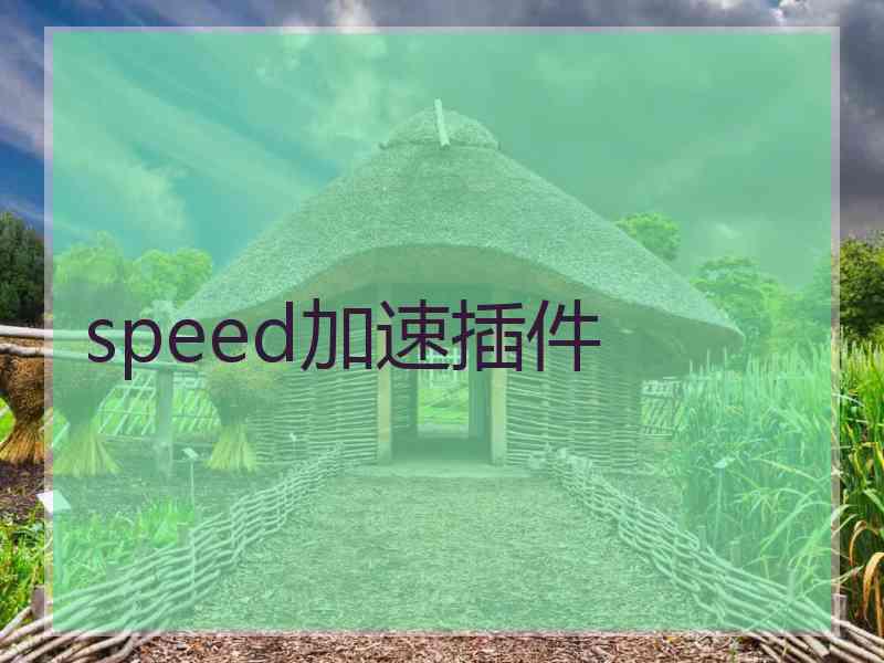 speed加速插件