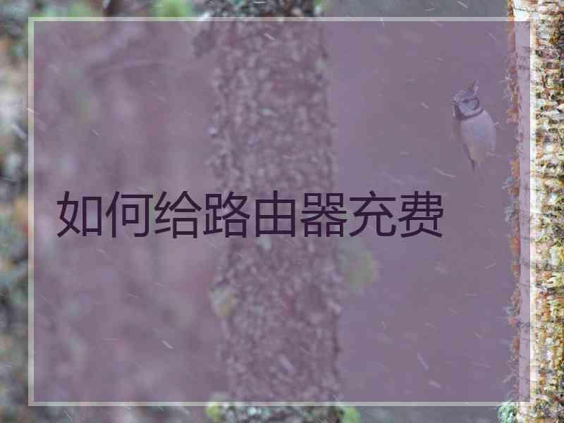 如何给路由器充费