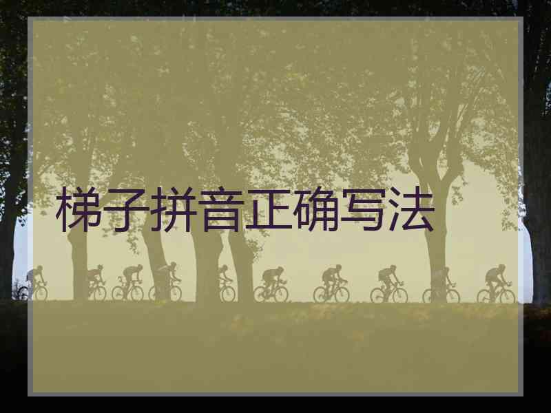 梯子拼音正确写法